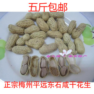 新花生梅州客家特产正宗平远东石花生农家土水煮咸干晒仔花生小吃