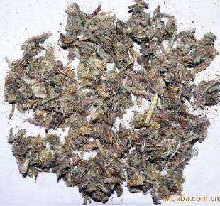 佛耳草追骨风鼠曲500克g包邮鼠耳草毛耳朵清绒毛草鼠耳无新,传统滋补营养品,传统滋补品其他,淘宝优惠券,粉丝福利购,淘宝优惠卷