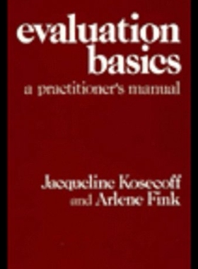 【预售】Evaluation Basics: A Practitioner's Manual