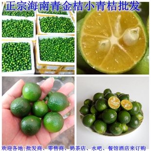 促销海南青金桔小青桔新鲜小金桔小青橘 大果 1斤起发满10斤免邮