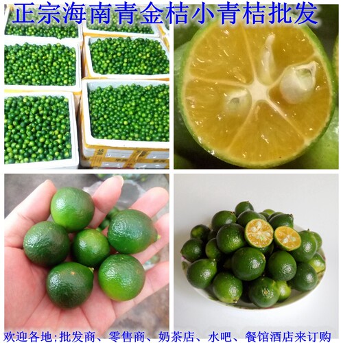 海南新鲜大果1满10斤包邮青金桔