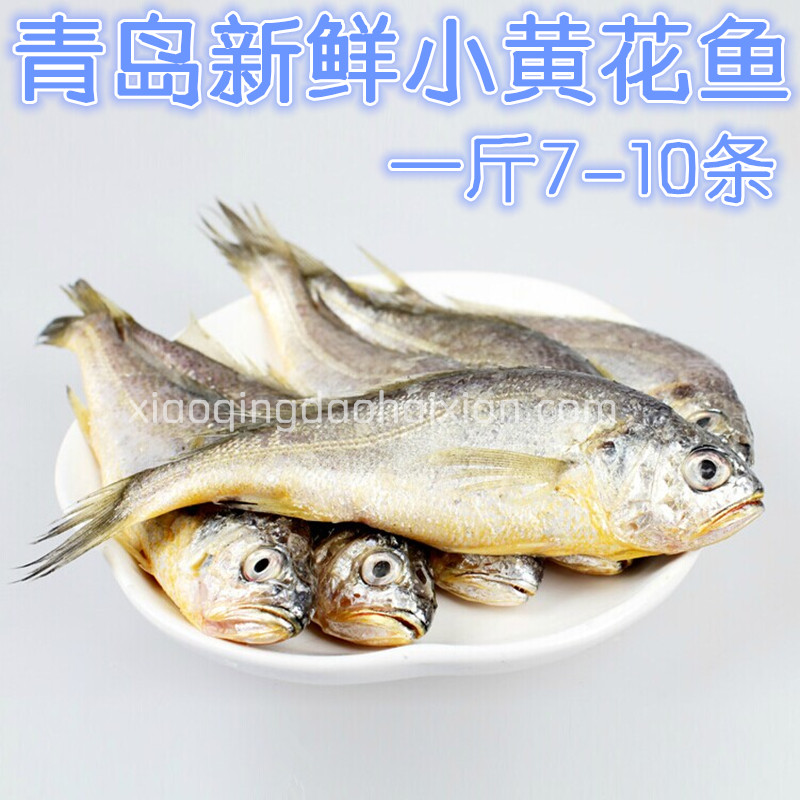 青岛海鱼新鲜小黄花鱼海捕鲜活海鲜宝宝1斤10/15条半斤价