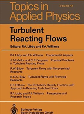 【预订】Turbulent Reacting Flows