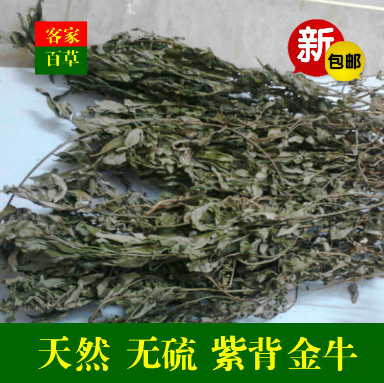 客家草药 野生叶叶一枝花 紫背金牛 大金不换 金牛草 千里马 包邮