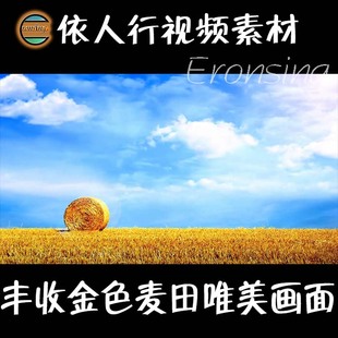 依人行LED素材大屏幕舞台视频背景素材丰收稻田唯美画面