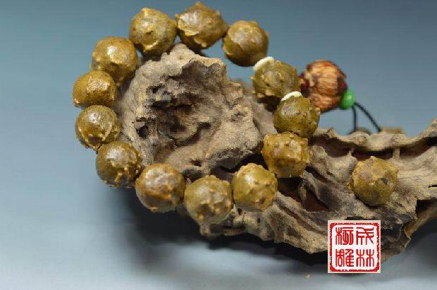 女士通天眼菩提子手串 黑木鱼果 草菩提 金钵菩提 观音瓶红木鱼