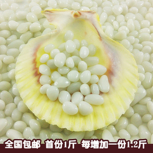 白玛瑙色玻璃砂 玻璃彩珠鱼缸底沙水族造景底砂花盆 雪白无暇