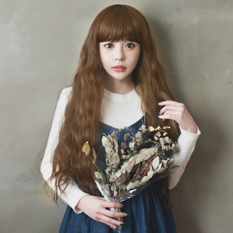 Perruque      Les cheveux longs - Ref 2613104 Image 1