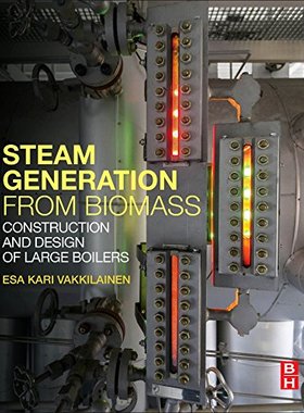 【预订】Steam Generation from Biomass