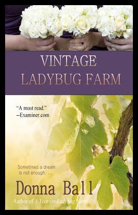 【预售】Vintage Ladybug Farm