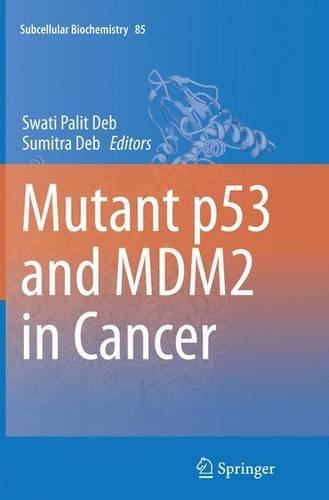 美国库房发货,通常付款后5-8周到货！