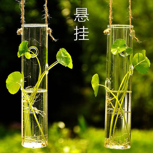 长管透明水培壁挂悬挂式玻璃花瓶