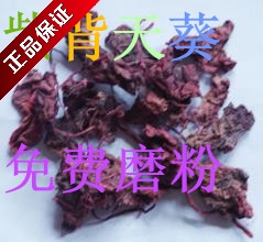 中药材 野生 红天葵 紫背天葵草 红叶 500克包邮免费磨粉