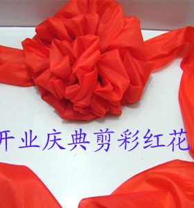 大红绸布绢花色正朵大