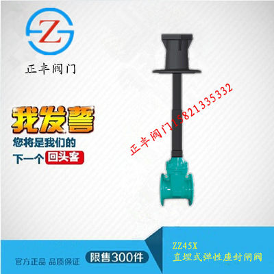 正丰阀门/ZZ45X 直埋式弹性座封闸阀/官方品质保证