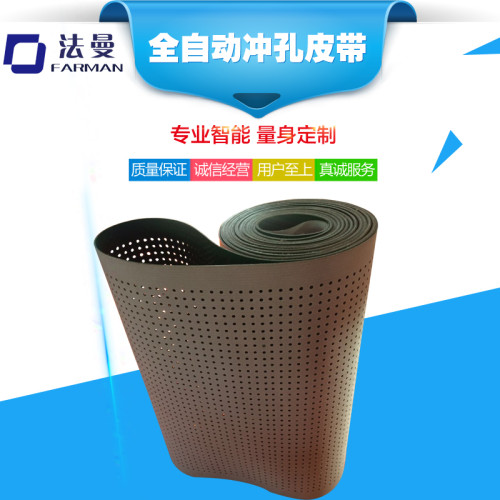 全自动输送带打孔加工定制