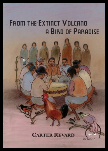 【预售】From the Extinct Volcano, a Bird of Paradise