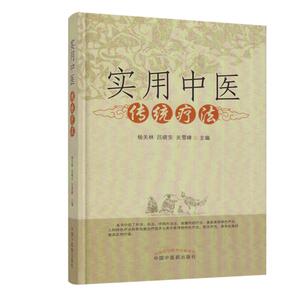 实用中医传统疗法(精装) 杨关林 吕晓东 关雪峰主编 中国中医药9787513239387