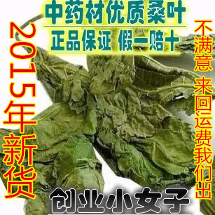 中草药正品新货干桑叶500g克 野生农家新鲜荆桑叶茶霜无硫中药材