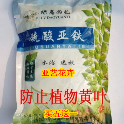 硫酸亚铁500g 防止黄叶 植株黄化病 观叶植物发财树绿萝通用肥料