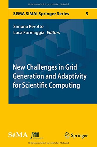 【预订】New Challenges in Grid Generation an... 书籍/杂志/报纸 原版其它 原图主图