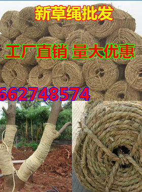 打草绳 稻草编织绳 园艺用品 庭院花卉苗木包扎 树木防寒一卷就OK