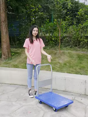 Folding trolley flatbed truck portable push truck cart cart household carts mute small pull cart