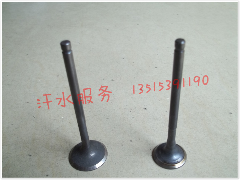 踏板摩托车原厂配件 QJ100T-11 A 领秀 领慧 专用进排气门