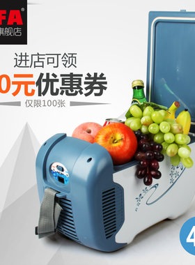 NFA车载冰箱 冷暖箱 4L冰箱迷你小冰箱车用制冷冷藏5251