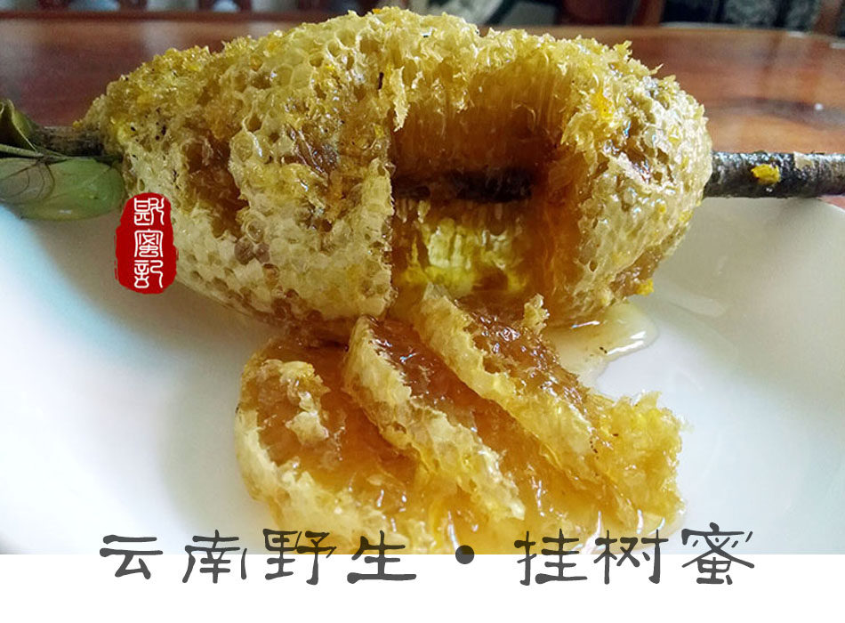 斟蜜记 玉溪特产蜂蜜纯野生挂树蜜 小草蜂蜜无人工驯养珍稀蜂蜜
