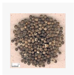 蔓荆子500克2斤包邮中药材 曼荆子 蔓荆子 荆条子、京子