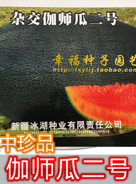【伽师瓜种子】新疆香瓜甜瓜种子 哈密瓜种子 新疆商标 贡瓜