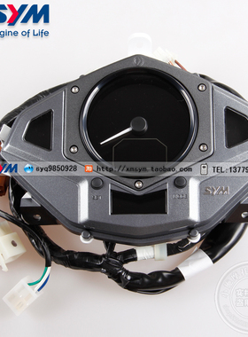 SYM 三阳机车  New Fighter 150 仪表 码表 公里表总成