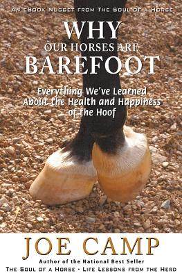 【预售】Why Our Horses Are Barefoot: Everything We've ...