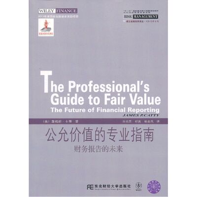 公允价值的专业指南（威立金融经典译丛）