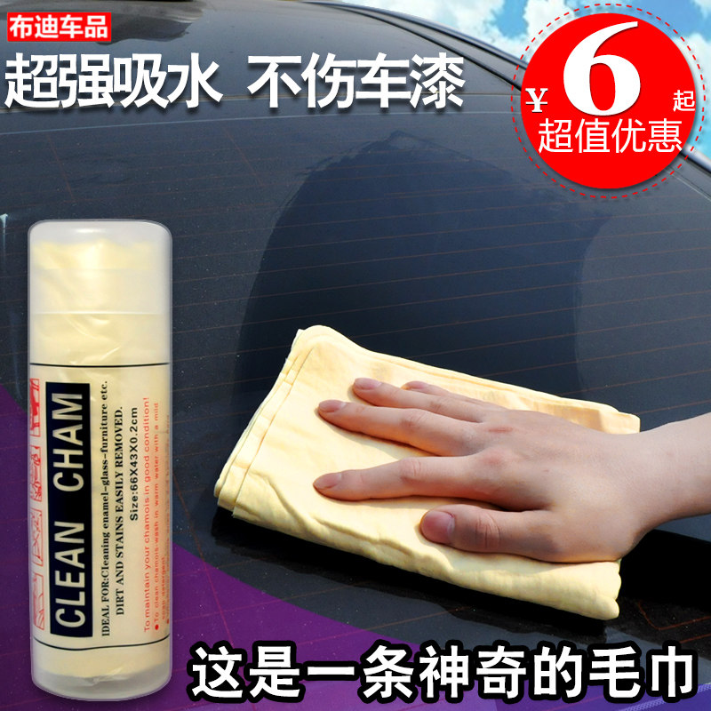 老司机带路——赛级加菲猫的洗澡养护