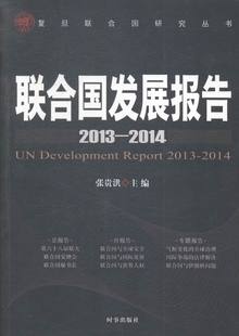 2013-2014-联合国发展报告 书店 张贵洪 世界政治书籍 书 畅想畅销书
