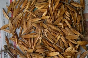 中药材喜树果 千丈树 水栗子 天梓树 500克干品