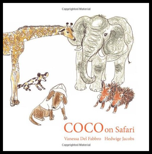 【预售】Coco on Safari