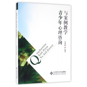 青少年心理咨询与案例教学 博库网