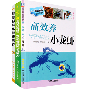 小龙虾养殖与疾病防治技术 水产健康养殖丛书 养小龙虾 池塘标准化健康养虾 科学养殖龙虾病害防治书养小龙虾技术