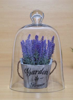 欧式玻璃罩摆件大中小号玻璃装饰罩子家居饰品防尘罩永生花装饰罩