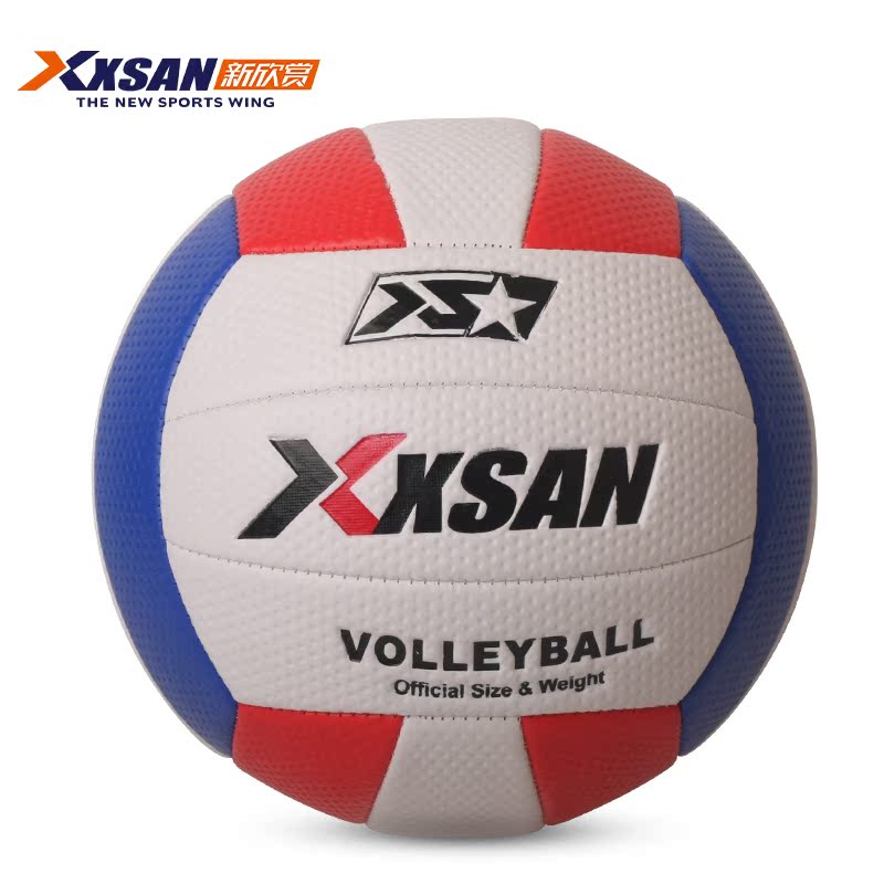 Ballon de volley - Ref 2010980 Image 1