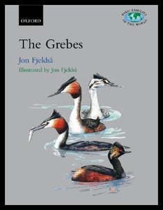 【预售】The Grebes: Podicipedidae