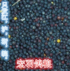 油菜籽  鸽粮用  油菜籽 农家自种菜籽1斤(只发江浙沪皖