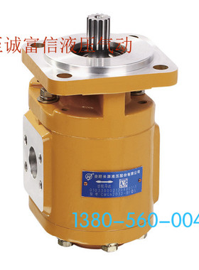 合肥长源HCHC齿轮马达CMG-2100-BFXS BFPS BFHS液压机转动马达