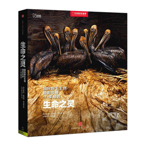 【中信书店 正版书籍】生命之灵：BBC野生生物摄影年赛50年精选（国家地理系列）中信出版社图书  9787508648699