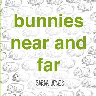 and Near Bunnies Far 预售