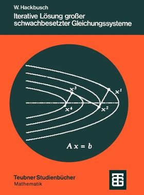 【预售】Iterative Losung Grosser Schwachbese...