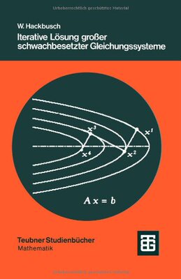 【预售】Iterative Losung Grosser Schwachbese...